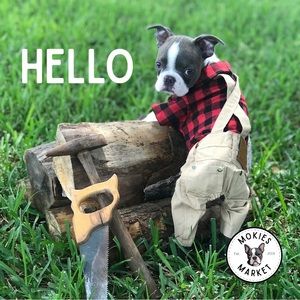 Hello! - Welcome to Mokie’s Market!